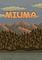 Cover image for the game Miuma