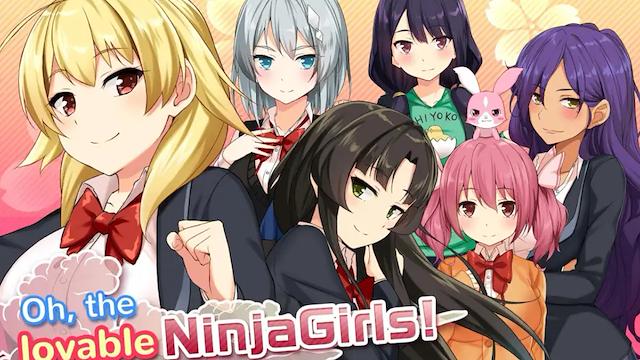 Image for the game Moe! Ninja Girls
