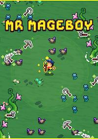 Cover image for the game Mr Mageboy