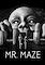 Cover image for the game Mr. Maze