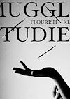 Cover image for the game Muggle Studies