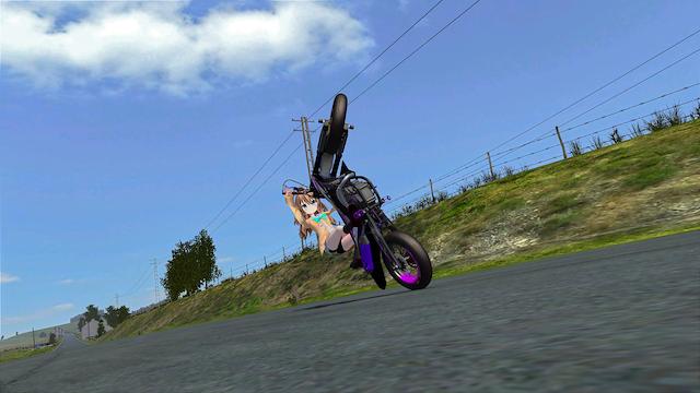 Image for the game MX Bikes