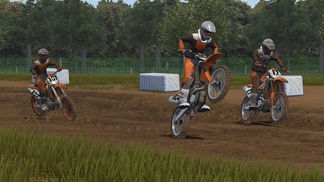 Image for the game MX Bikes