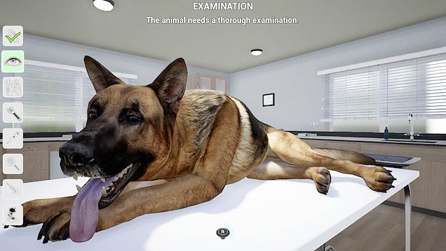 Image for the game My Life: Pet Vet