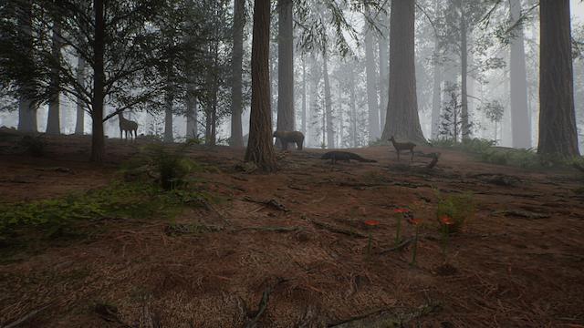 Image for the game Native Hunter