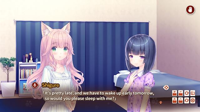 Image for the game Nekopara After