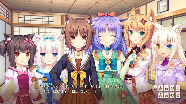 Image for the game Nekopara Extra