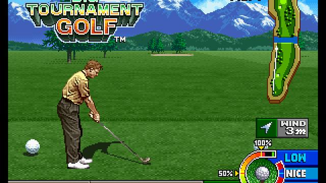 Image for the game Neo Turf Masters