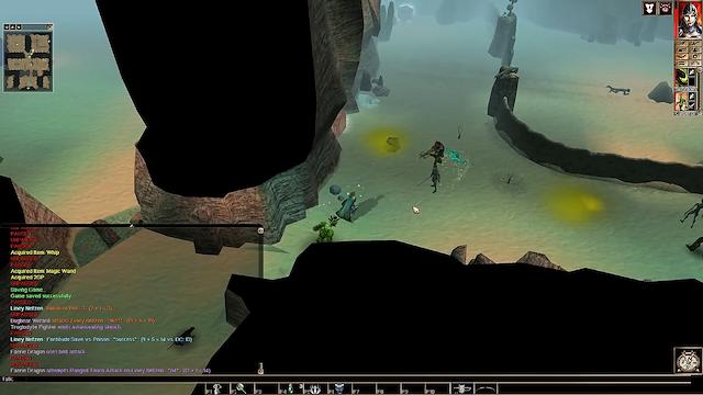 Image for the game Neverwinter Nights: Infinite Dungeons