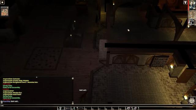Image for the game Neverwinter Nights: Pirates of the Sword Coast