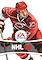 Cover image for the game NHL 08