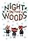 Cover image for the game Night in the Woods