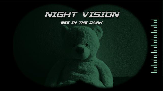 Image for the game Night Vision