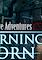 Cover image for the game Nightmare Adventures: The Turning Thorn