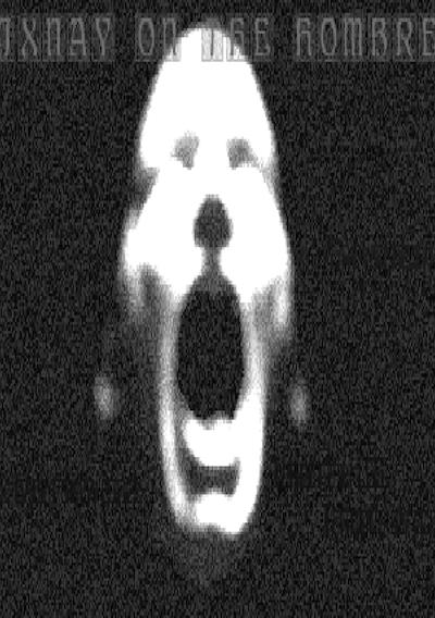 Cover image for the game Ni'mRoD