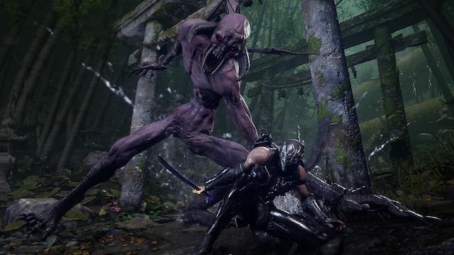 Image for the game Ninja Gaiden 4
