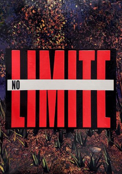 Cover image for the game No Limite