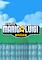 Cover image for the game NSMB: Mario vs. Luigi Online