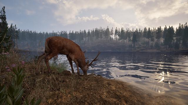 Image for the game Online: 404