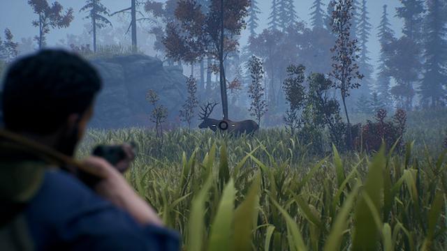 Image for the game Open Country
