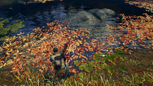 Image for the game Open Country