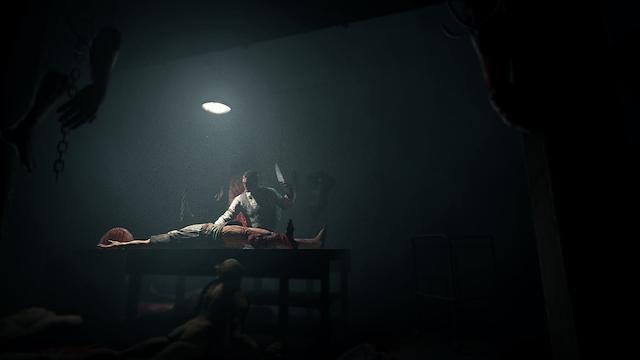 Image for the game Outlast: Whistleblower