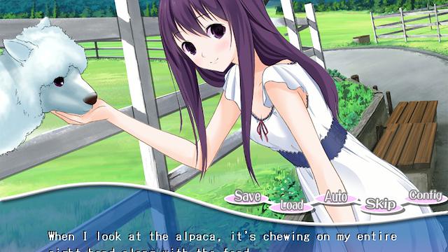 Image for the game PacaPlus