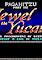 Cover image for the game Paganitzu Part 3: Jewel of the Yucatan