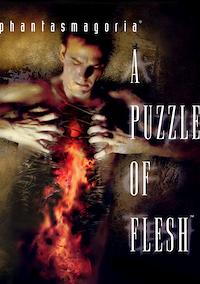 Cover image for the game Phantasmagoria 2: A Puzzle of Flesh