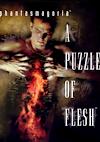 Cover image for the game Phantasmagoria 2: A Puzzle of Flesh