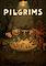 Cover image for the game Pilgrims