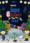 Cover image for the game Pinball FX: A Charlie Brown Christmas Pinball