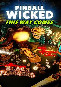 Cover image for the game Pinball Wicked