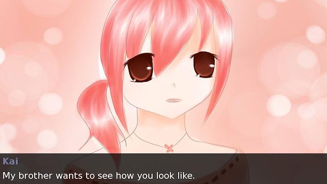 Image for the game Pink Carnations