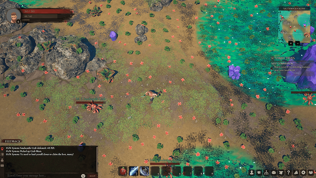 Image for the game Pirate Royalty