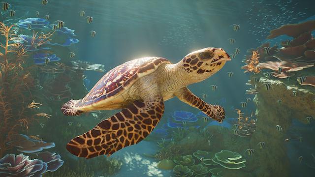 Image for the game Planet Zoo 2