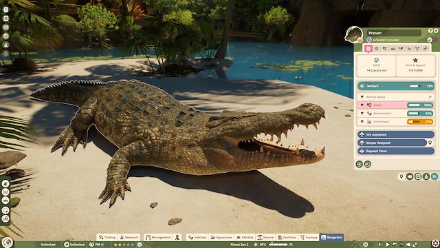 Image for the game Planet Zoo 2