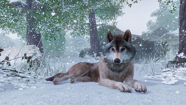 Image for the game Planet Zoo