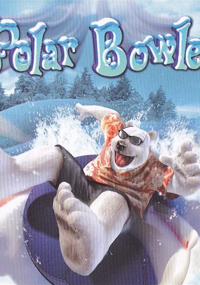 Cover image for the game Polar Bowler