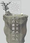 Cover image for the game Polyball