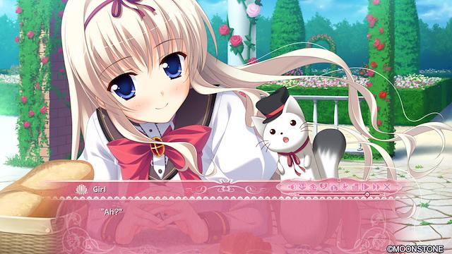 Image for the game Princess Evangile