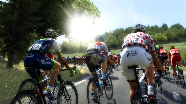 Image for the game Pro Cycling Manager 2014