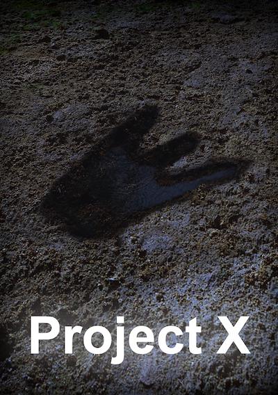 Cover image for the game Project X