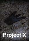 Cover image for the game Project X