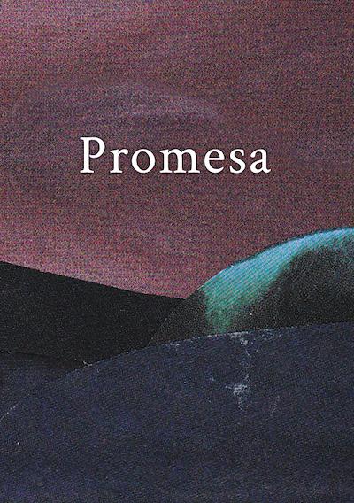 Cover image for the game Promesa