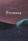Cover image for the game Promesa