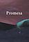 Cover image for the game Promesa
