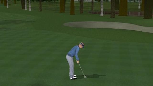 Image for the game ProStroke Golf: World Tour 2007