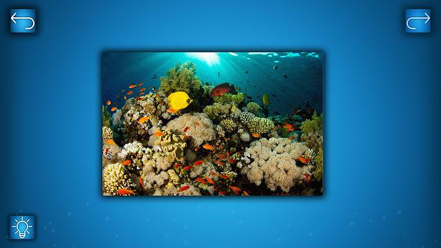 Image for the game Puzzle: Ocean