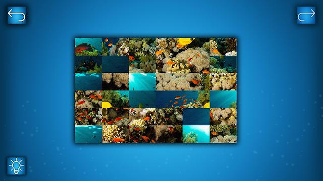 Image for the game Puzzle: Ocean